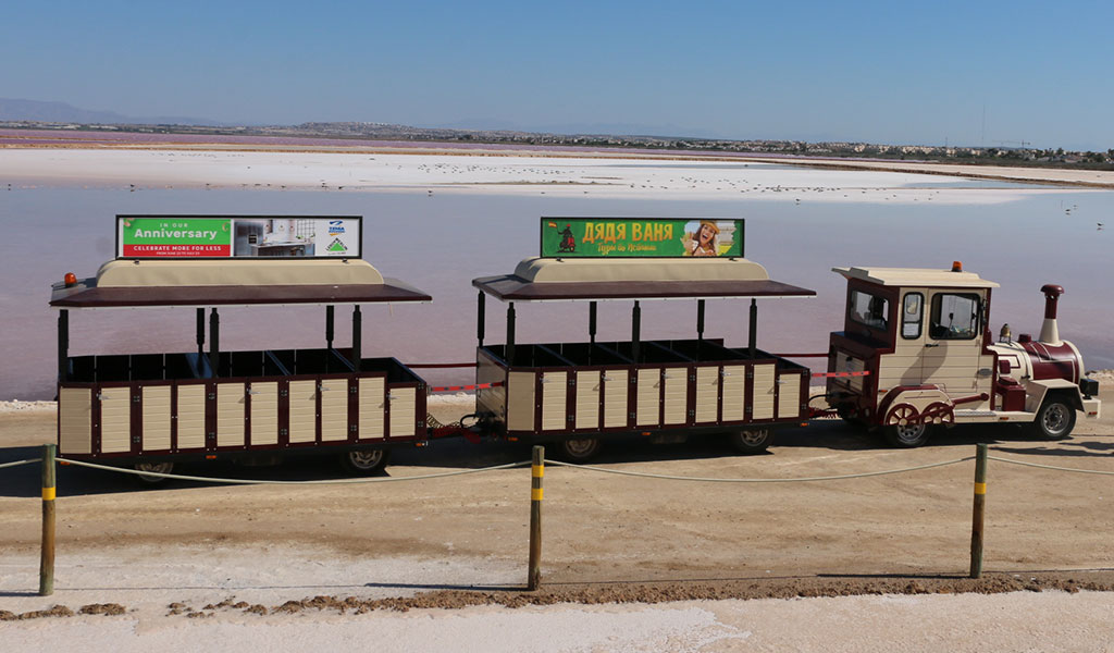 Las Salinas de Torrevieja