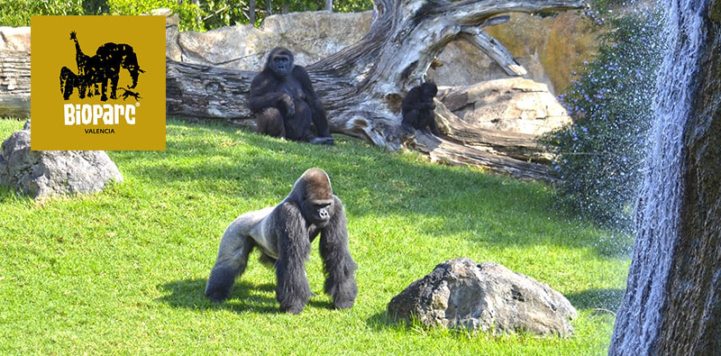 Bioparc Valencia