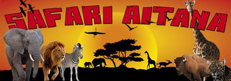 Safari Aitana