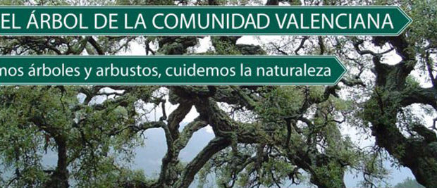 Día del Árbol en la Comunidad Valenciana