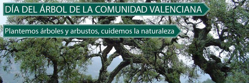 Día del Árbol en la Comunidad Valenciana