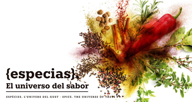 Especias, el universo del sabor