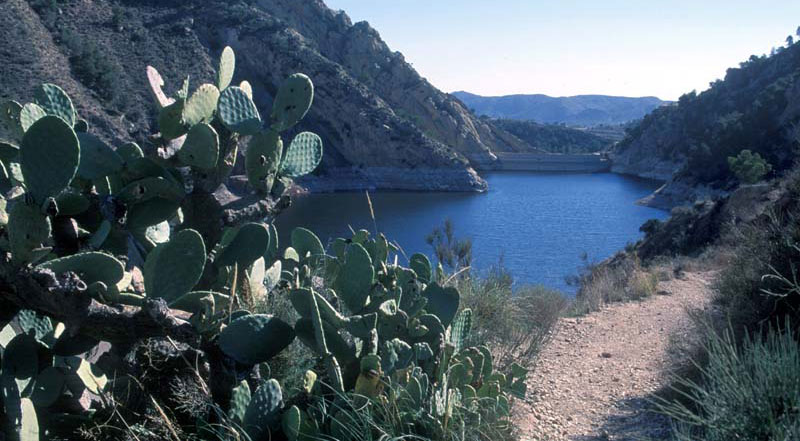 Pantano de Tibi