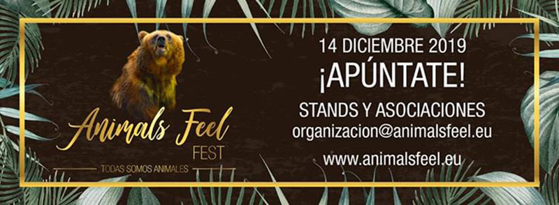 Animal Feel Fest 2019