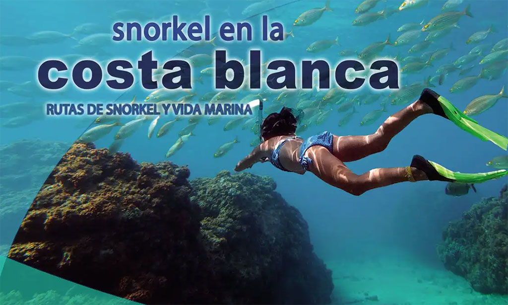 COSTA BLANCA UP - Snorkeling in the Costa Blanca